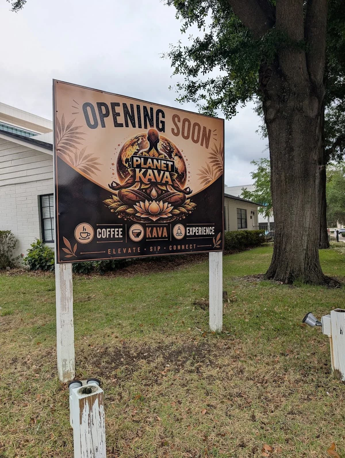 Planet kava exterior